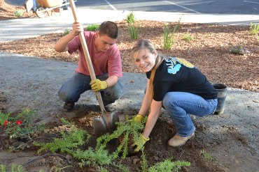 Brandon Hillier and Tristan Rowell are busy planting a shrub in front of Lemoore City Hall.